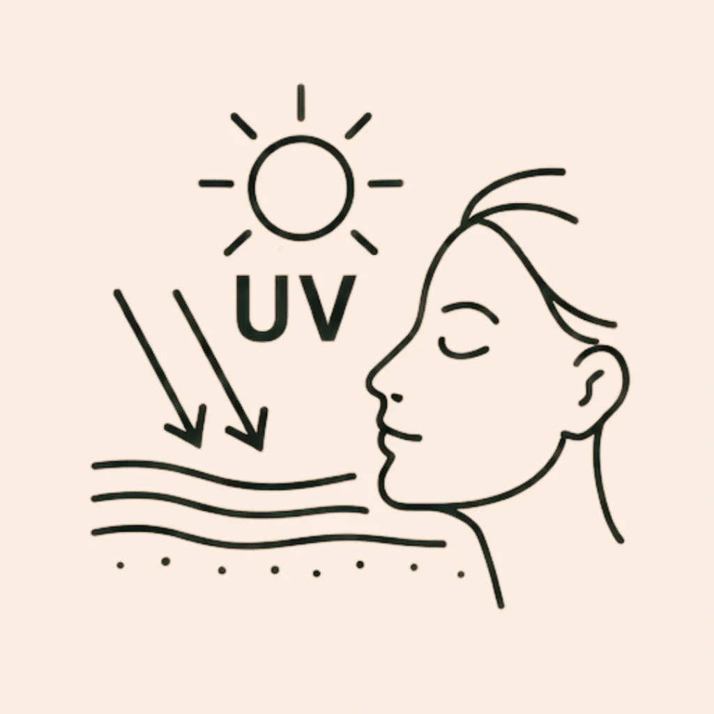 Line art illustration showing UV rays penetrating the skin, representing sun exposure as a cause of premature skin ageing.